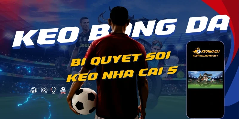 Keo nha cai 5 - Kèo Nhà Cái Chuẩn - Tỷ lệ Kèo nhà cái 88 11 bi-quyet-soi-keo-nha-cai-5-chuan-xac-2026.webp